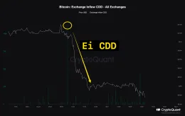 Bitcoin CDD verisi nedir (risk yönetimine faydaları) ?